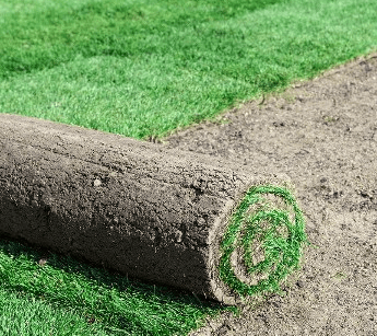 Sod & Irrigation 8